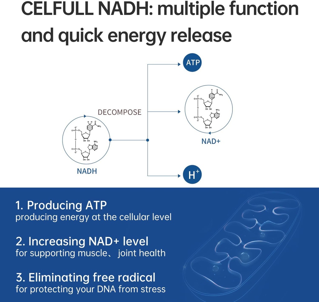 celfull-nadh-supplement-40mg-enchance-na-2.jpg