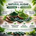 spirulina-chlorella-tablets-pack-of-2-gr-71UYrV1jQsL.jpg