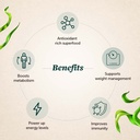 neuherbs-spirulina-1000mg-per-serving-12-61RyR7KR9QL.jpg