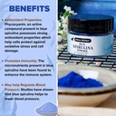 urban-platter-blue-spirulina-powder-5g-p-81W8un5m3GL.jpg