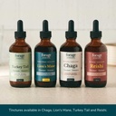 forage-hyperfoods--alcohol-free-canadian-4.jpg
