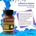 blue-spirulina-extract-phycocyanin-500mg-81KirzDTs+L.jpg