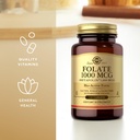 solgar-folate-1000-mcg-120-tablets-2-pac-710eWzc8TZL.jpg