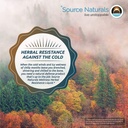 source-naturals-wellness-herbal-resistan-81X9oEXJqKL.jpg