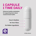 md-life-l-methylfolate-1mg-professional--711akVFE8aL.jpg