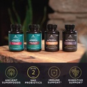ancient-nutrition-elderberry-and-probiot-5.jpg