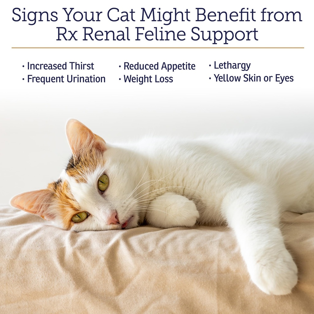 rx-vitamins-renal-feline-cat-kidney-supp-81Fz-yYK-jL.jpg