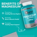 qunol-magnesium-citrate-gummies-200mg-ve-71uYnr37ZML.jpg