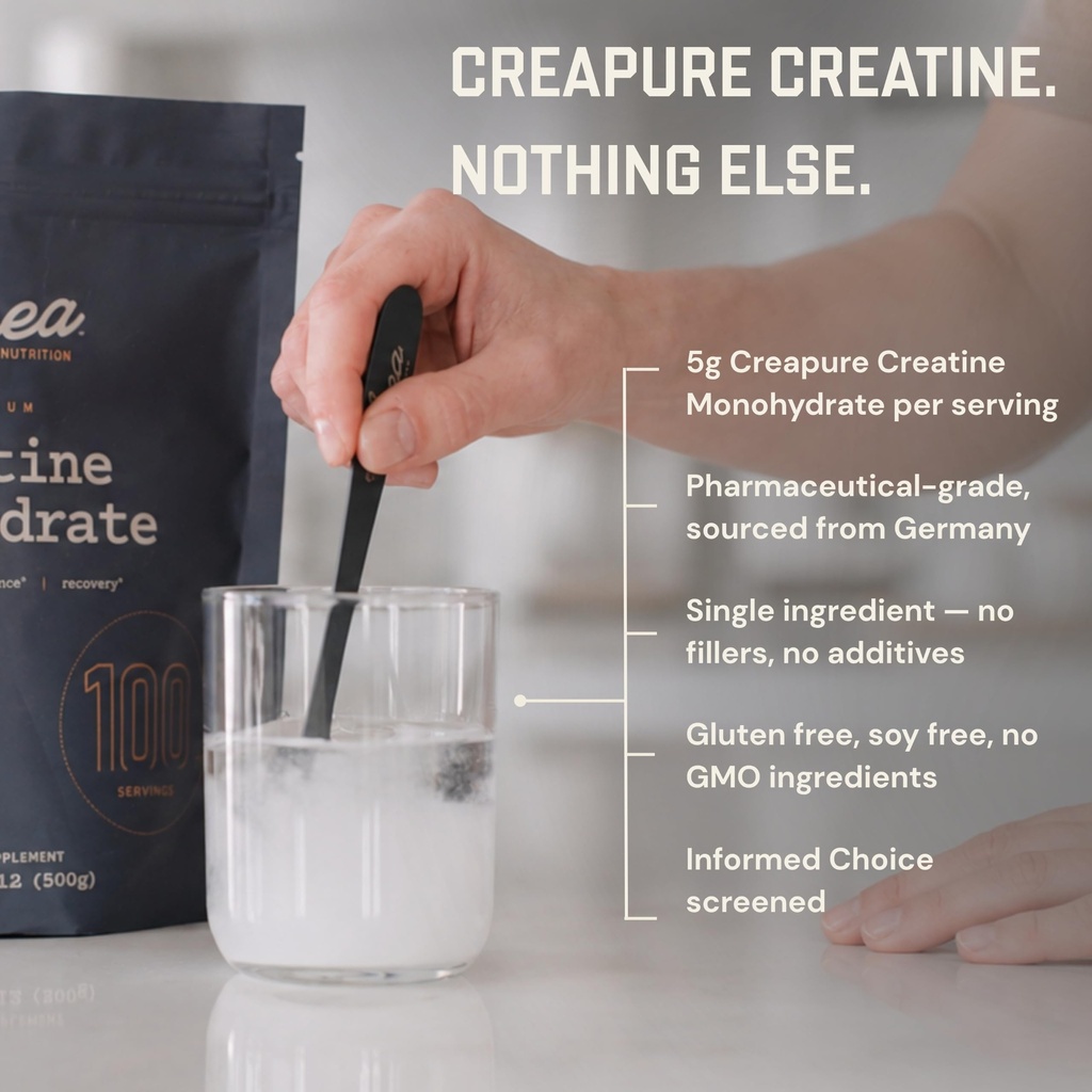 anea-creatine-monohydrate-micronized-cre-710fBmt-JAL.jpg