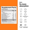 the-absorption-company-restore-electroly-71dyOOp3gTL.jpg
