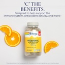 solaray-vitamin-c-1000-mg-time-release-c-61FfwphgXcL.jpg