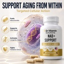 nmn-nad-supplement-500mg-4-in-1-with-res-61VhShJ63YL.jpg