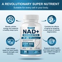 nad-supplement-8525-mg-liposomal-nad-res-713FaC87wuL.jpg