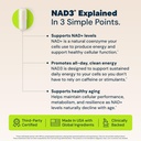 hpn-nad3-nad-booster-for-cellular-energy-811oV80KMSL.jpg