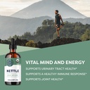 nettle-leaf-10-1-extract-usda-organic-jo-81Mth5eu6SL.jpg