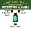 peak-performance-mitochondria-maximizer--61Ml2Q5VlPL.jpg