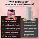 nmn-supplement-1000mg-4-in-1-liposomal-n-71aAwEf0zuL.jpg