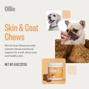 ollie-dog-skin-coat-supplement-soothes-i-2.jpg