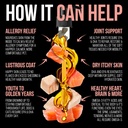 pure-wild-alaskan-salmon-pollock-oil-for-5.jpg