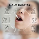neurogan-nad-liposomal-drops---300mg-per-4.jpg