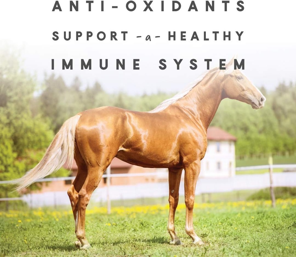 manna-pro-sho-glo-supplement-for-horses--5.jpg