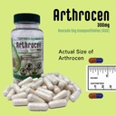 evo-vegan-joint-health-supplement-300mg--2.jpg