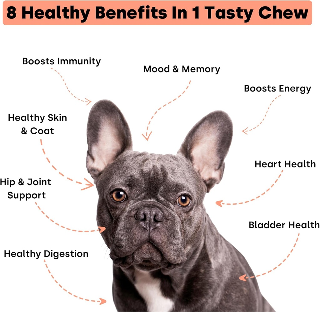 kayode-daily-multi---dog-multivitamin-su-2.jpg