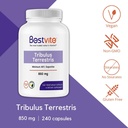 bestvite-tribulus-terrestris-850mg-per-c-3.jpg