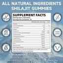 shilajit-gummies-for-men-women---sugar-f-2.jpg