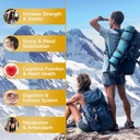 shilajit-gummies-for-men-women---sugar-f-3.jpg