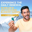 shilajit-gummies-for-men-women---sugar-f-6.jpg