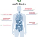 lactobacillus-brevis-probiotic-powder-20-4.jpg