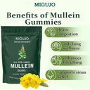 mullein-lung-cleanse-repair-gum-mullein--2.jpg