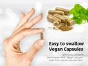 dr-wakdes-neem-turmeric-capsules-60-veg--4.jpg