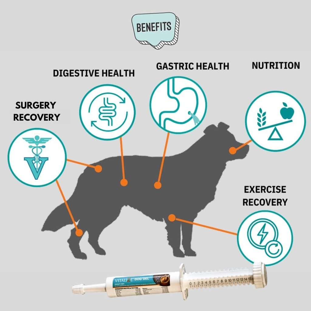 vitalize-dog-gel---after-surgery-recover-2.jpg