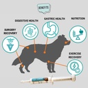 vitalize-dog-gel---after-surgery-recover-2.jpg