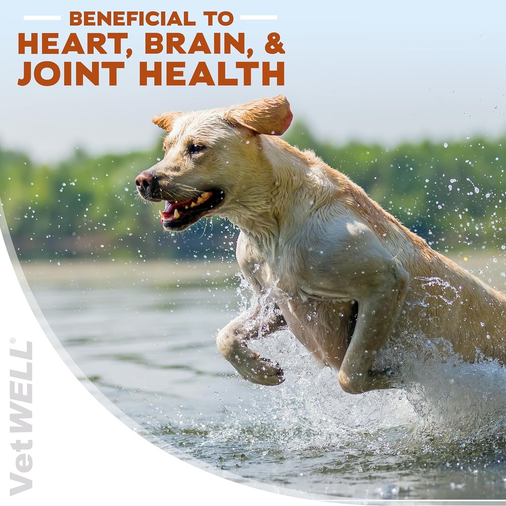 vetwell-omega-3-supplement-for-dogs-with-5.jpg