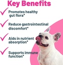 buddy-biotics-probiotic-prebiotic-for-do-2.jpg
