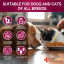 cat-dog-uti-treatment---urinary-tract-in-4.jpg