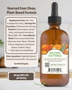 rawguru-organic-vitamin-c-tincture---liq-3.jpg