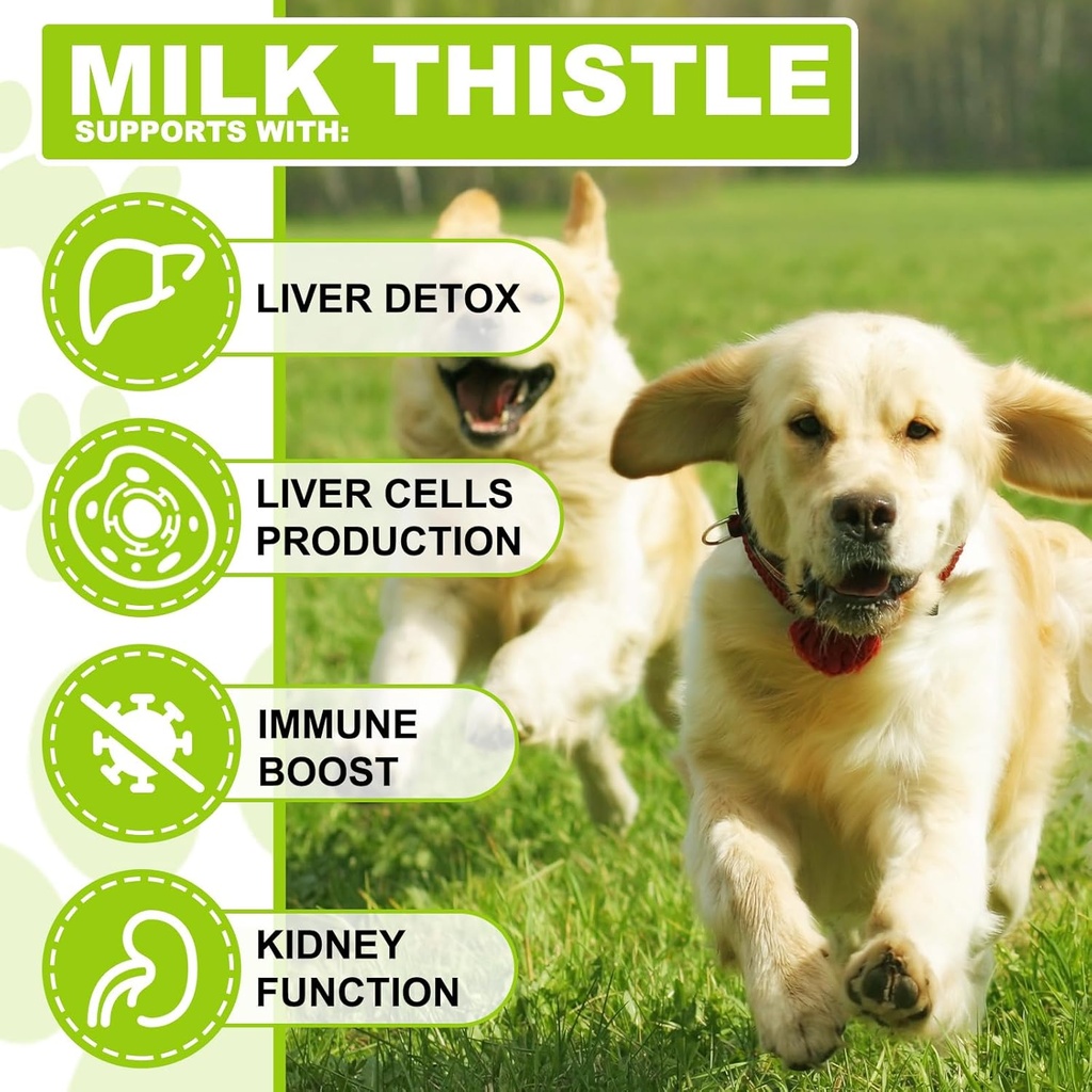 milk-thistle-for-dogs-dog-liver-support--3.jpg