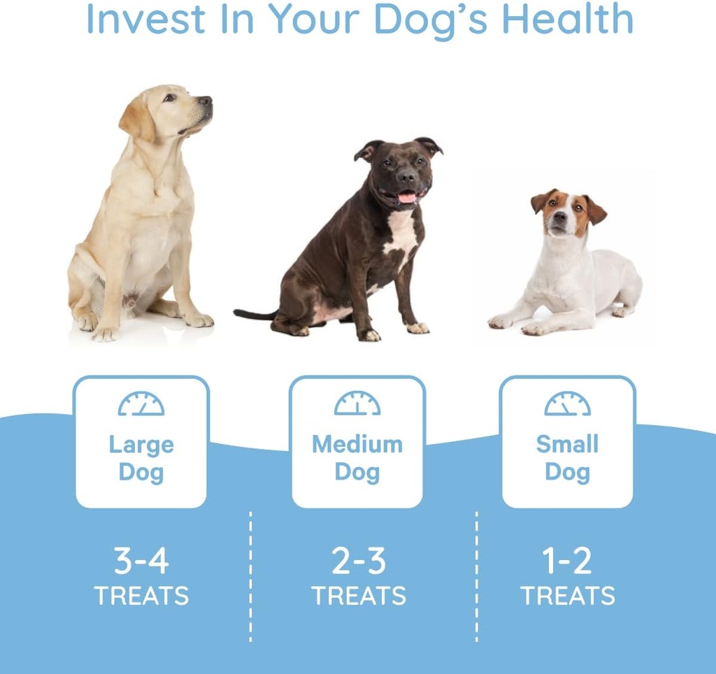 petralyte-dog-electrolyte-and-joint-supp-5.jpg