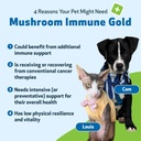 pet-wellbeing-more-mushrooms-kit-for-dog-3.jpg