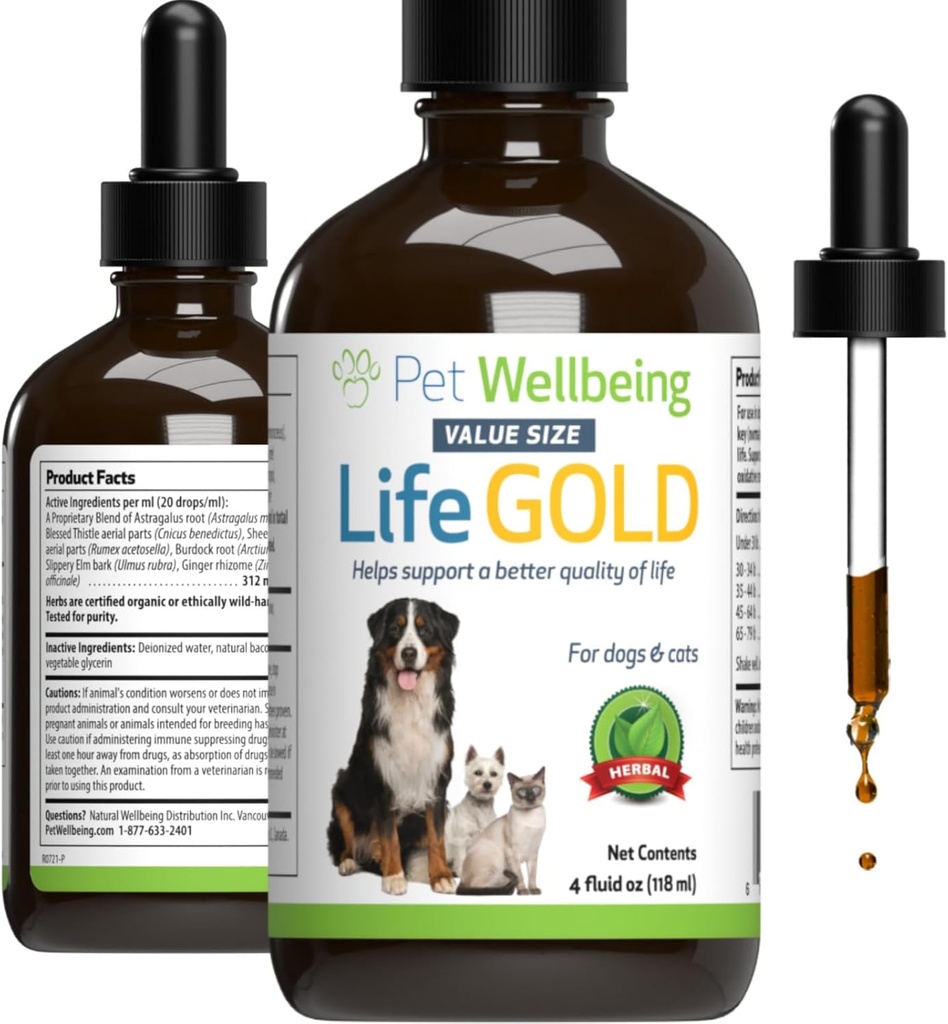 pet-wellbeing-more-mushrooms-kit-for-dog-6.jpg