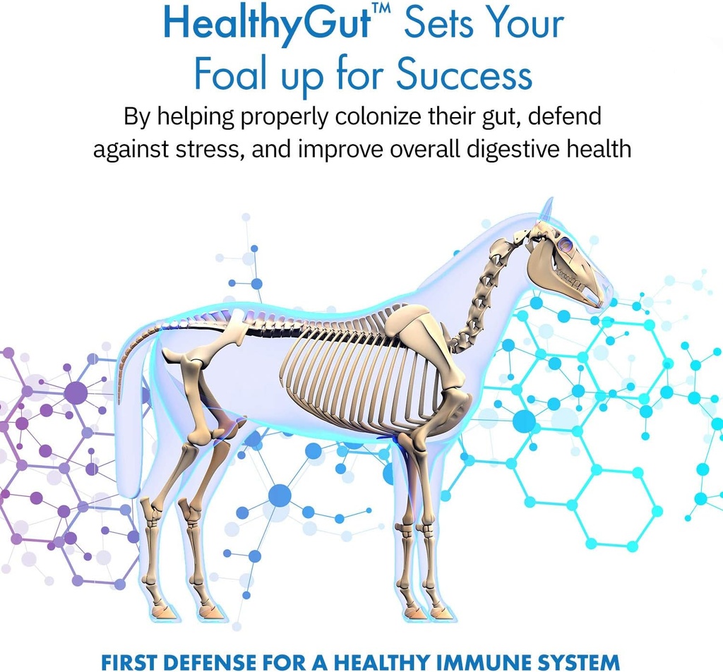 healthygut-foal-kit-for-horses-dietary-s-2.jpg