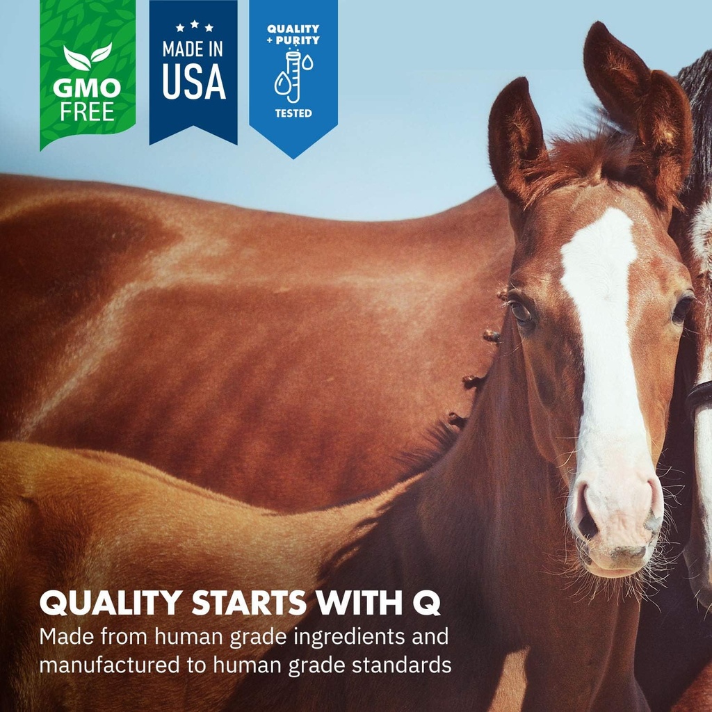 healthygut-foal-kit-for-horses-dietary-s-3.jpg
