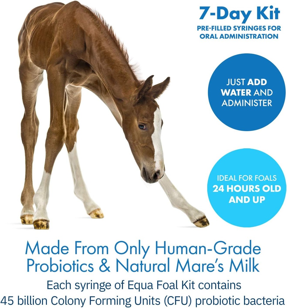 healthygut-foal-kit-for-horses-dietary-s-4.jpg