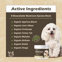dog-guard-for-lumps-bumps-supplement---t-4.jpg
