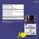 gokshura-120-tablets-tribulus-terrestris-5.jpg