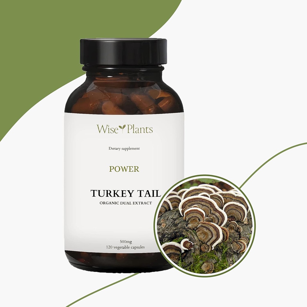 turkey-tail-mushroom-supplement-dual-ext-6.jpg